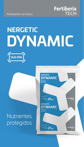 Nergetic Dynamic Duo Pro L2 292*510 21-27/11