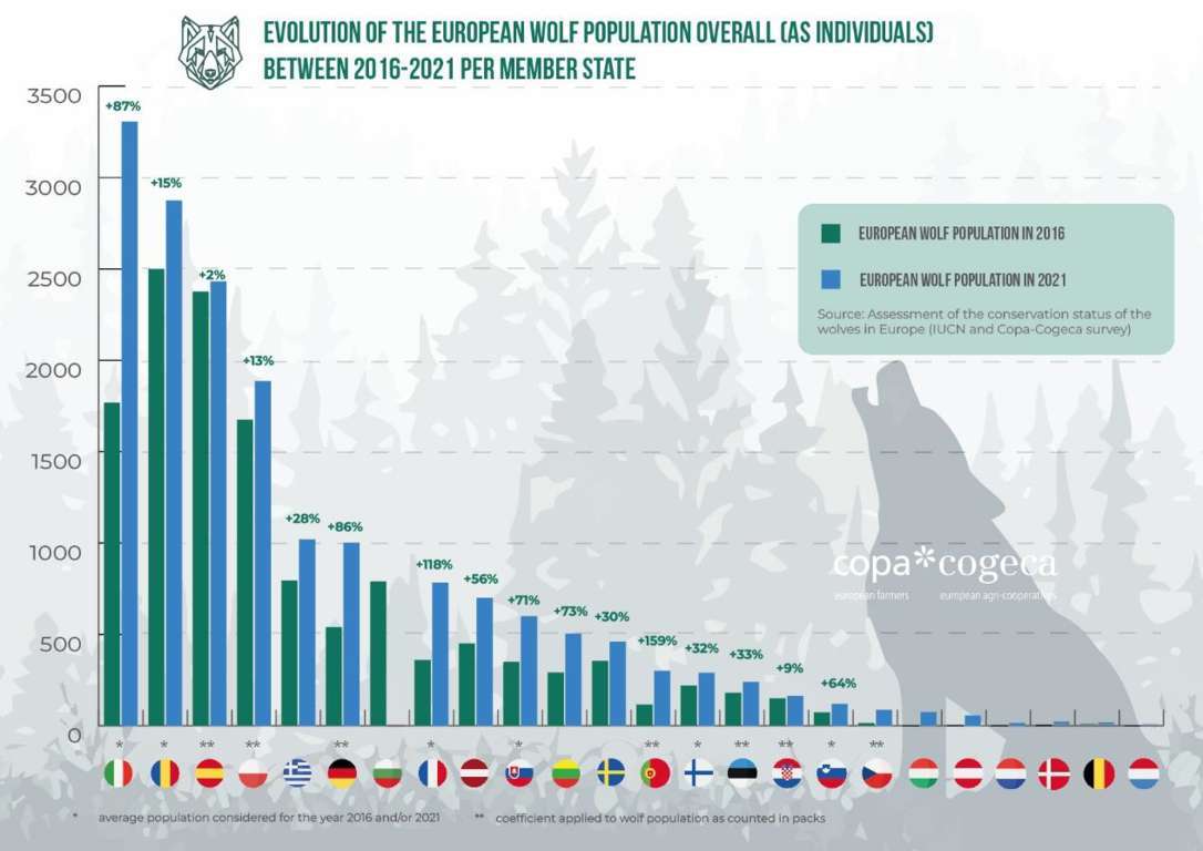 La Eurocámara demanda a la CE un cambio en el estatus de estricta protección del lobo