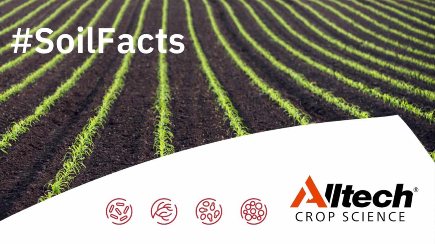 Alltech Crop Science Iberia lanza la campaña #SoilFacts