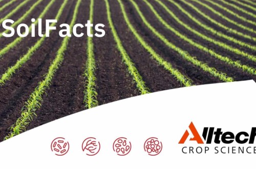 Alltech Crop Science Iberia lanza la campaña #SoilFacts