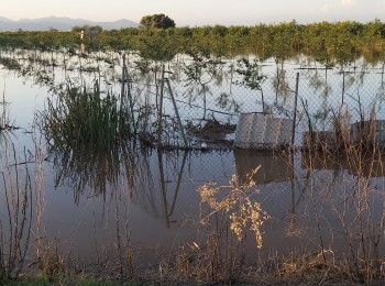 El MAPA eleva a 65,7 millones el total abonado a los afectados por la DANA