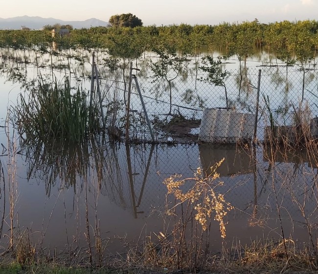 El MAPA eleva a 65,7 millones el total abonado a los afectados por la DANA