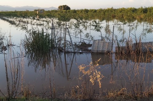 La Comisión Europea destina 68 millones en ayudas de emergencia para los agricultores españoles