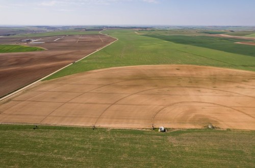 Ya están disponibles las entradas gratuitas para Demoagro 2023