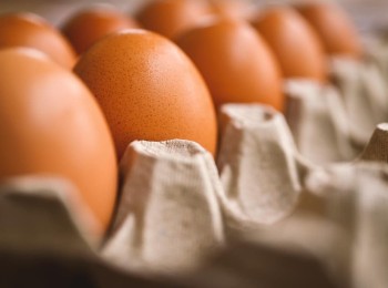 Los huevos y la leche entre los alimentos básicos más caros en la cesta de la compra del último año