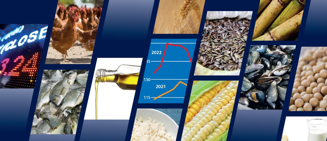 Récord mundial de costo de importación de alimentos debido a la inflación