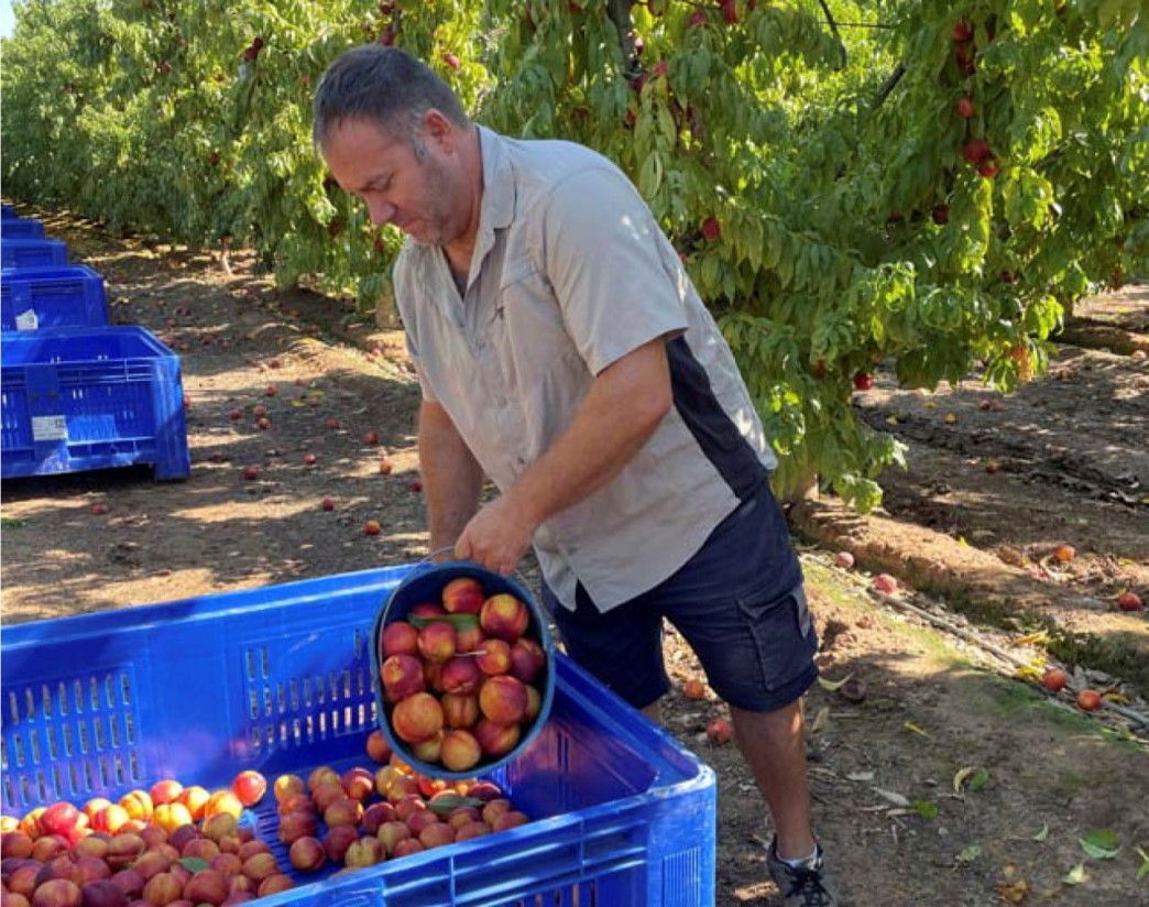 Jordi Pujol, agricultor-actor de la película «Alcarrás»: “O se cuida a los agricultores o dentro de 15 años la agricultura como la entendemos ahora no existirá”