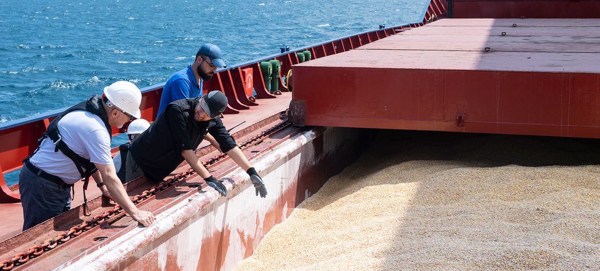 Ralentización de las exportaciones ucranianas de cereales tras la prórroga de la Iniciativa “Grain Black Sea”