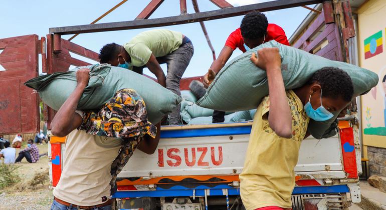 Salen de puertos europeos hacia países africanos 260.000 t de fertilizantes rusos donados al PMA