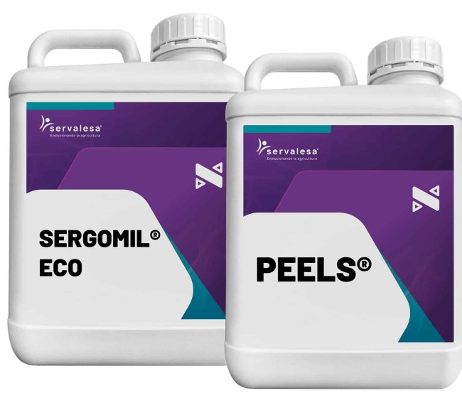 Sergomil Eco y Peels, los bioestimulantes de Servalesa que mejoran la piel de los cítricos