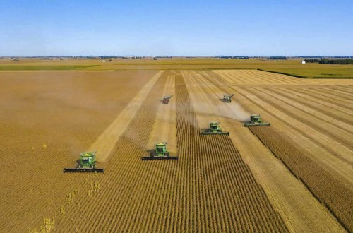 Un 8% de los 750.000 ingenieros en España son agrícolas o agrónomos, un 34% mujeres