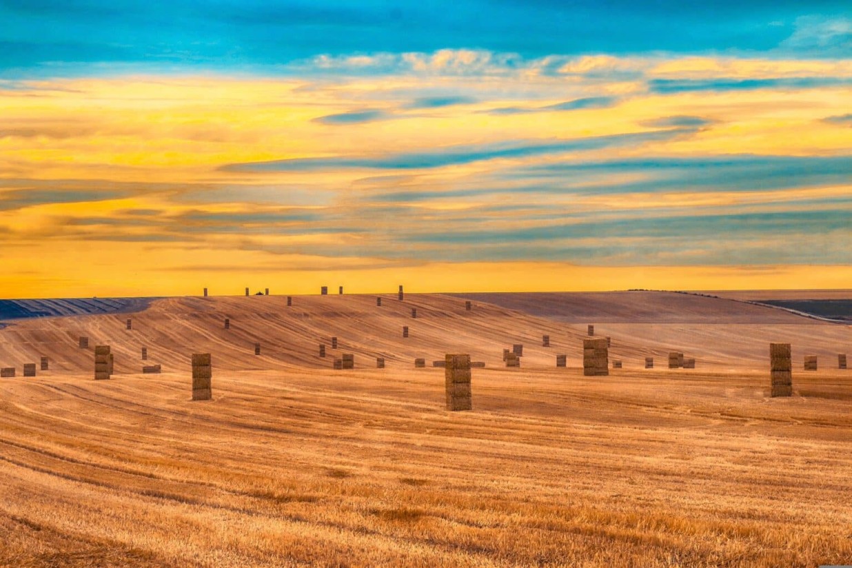 La FAO recorta de nuevo la producción, los usos y los stocks mundiales de cereales en 2022/23