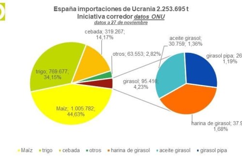 España importó 2,25 Mt de cereales y girasol de Ucrania a través del corredor marítimo hasta finales de noviembre