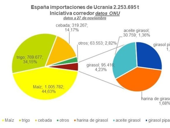 España importó 2,25 Mt de cereales y girasol de Ucrania a través del corredor marítimo hasta finales de noviembre