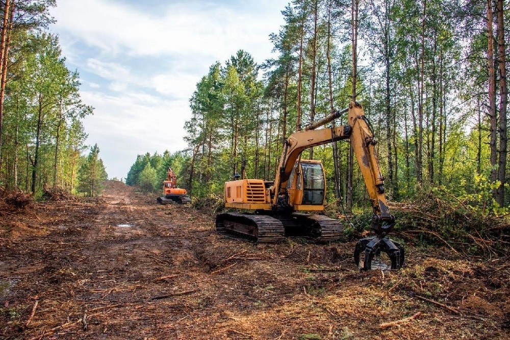 Acuerdo provisional de la UE para reducir la deforestación asociada a productos agrarios y no agrarios comercializados