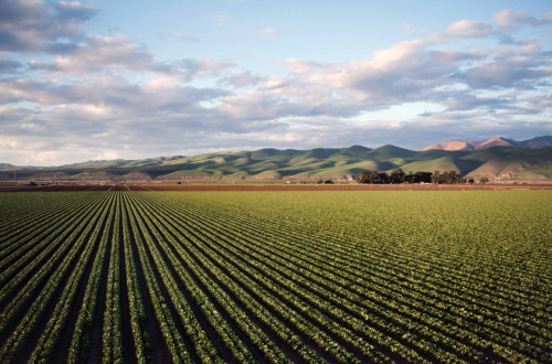 El número de explotaciones agrícolas cae un 12,4% entre 2020 y 2023, la superficie media aumenta un 13,4%