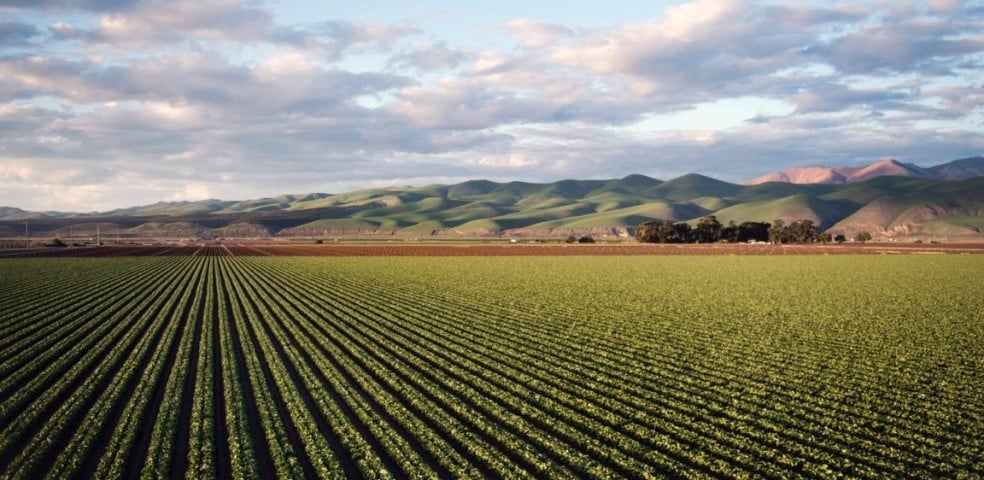 Explotación agrícola