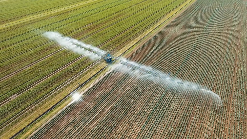 Fincas de regadío con dimensión y dotación de agua asegurada, las que más oportunidades de inversión ofrecen