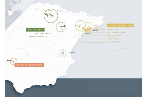 Satisfacción en la Comunidad Valenciana por la sentencia que avala el uso del Cava de Requena