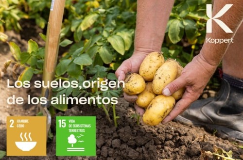 Koppert recomienda implantar cuanto antes prácticas sostenibles de gestión del suelo a largo plazo