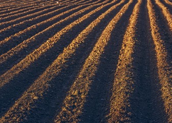 Azufre elemental, un corrector natural de las condiciones del suelo agrícola