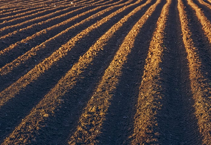 Azufre elemental, un corrector natural de las condiciones del suelo agrícola