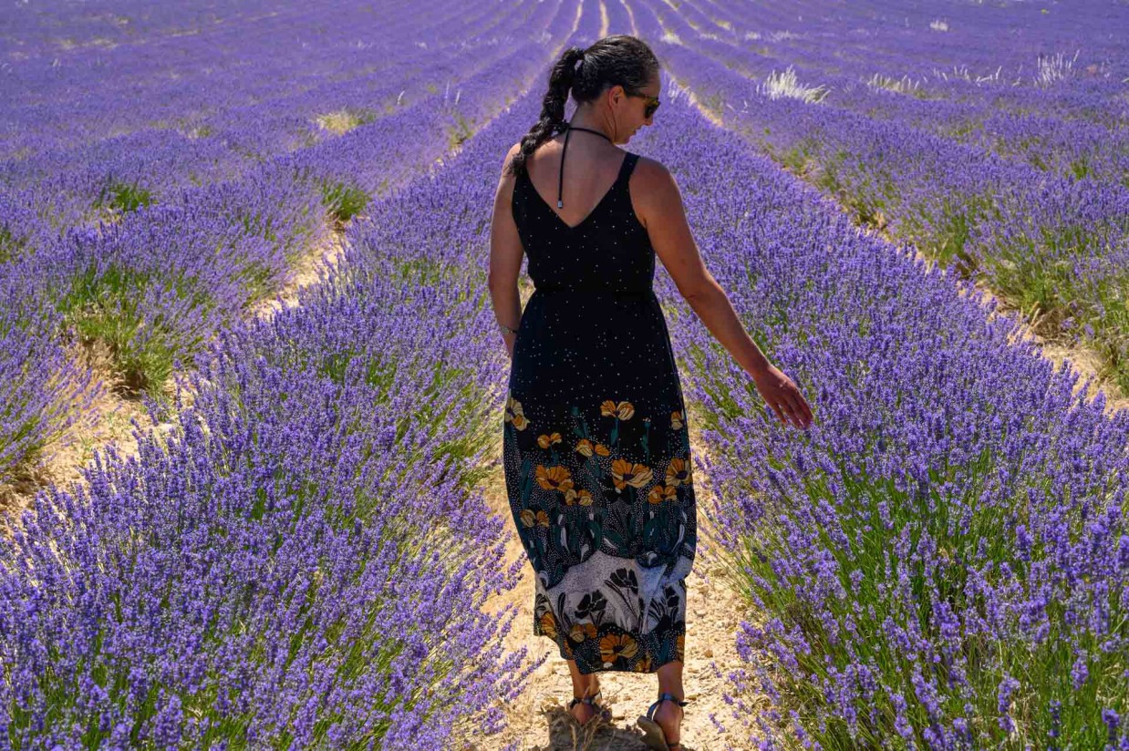 El aceite esencial de lavanda no será considerado químico en la reglamentación REACH para alivio de los productores