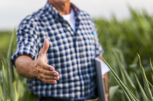 El paro agrícola baja un 5,65% en segundo trimestre de 2024, hasta las 121.400 personas