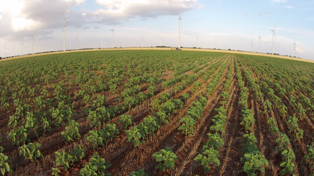 El sector agrícola y pesquero incrementa la creación de empresas en enero de 2025
