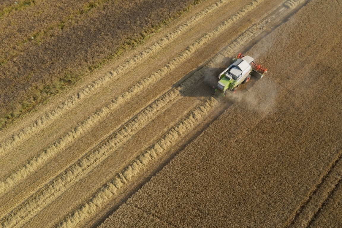 El aumento récord de los costes de producción contrajo un 5,5% la Renta Agraria en 2022