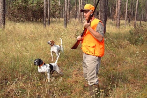 Los perros de caza seran excluidos de la nueva Ley de Protección Animal
