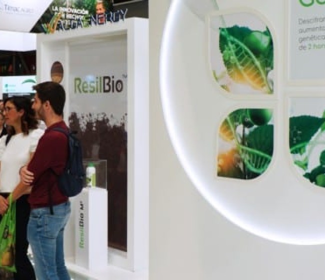 AlgaEnergy maximiza el potencial genético de los cultivos a través de sus soluciones a base de fitoplancton