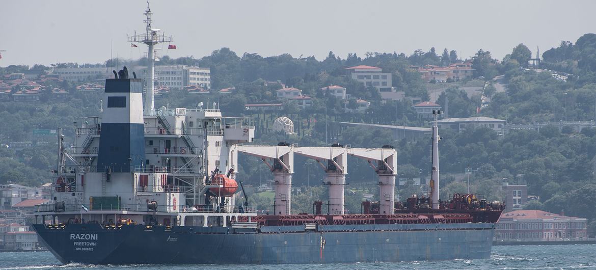 La OMI pide ampliar la exportación de cereal por el Mar Negro a otro tipo de buques y puertos