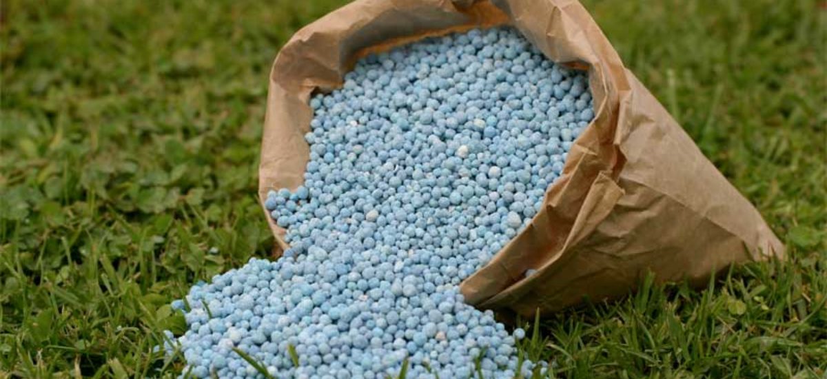 La Eurocámara pide a la CE que actúe a corto plazo para garantizar una oferta suficiente y asequible de fertilizantes