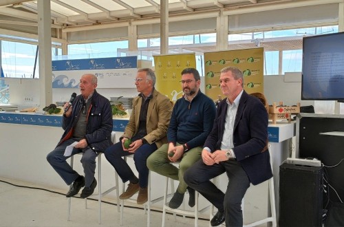 ¿Ya se puede consumir aguacate valenciano todo el año?