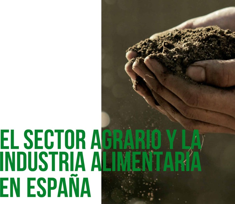 Unicaja Banco publica su informe «El Sector Agrario y la Industria Alimentaria en España en 2021»