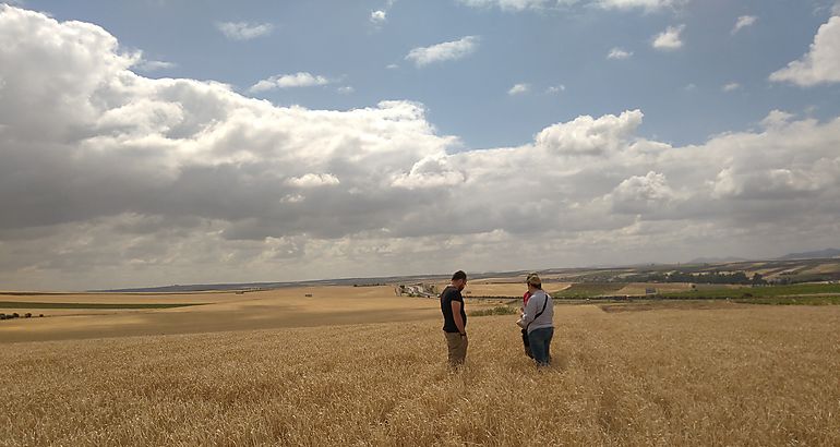 Subida moderada del 1,4% del canon medio de los arrendamientos de tierras en 2021