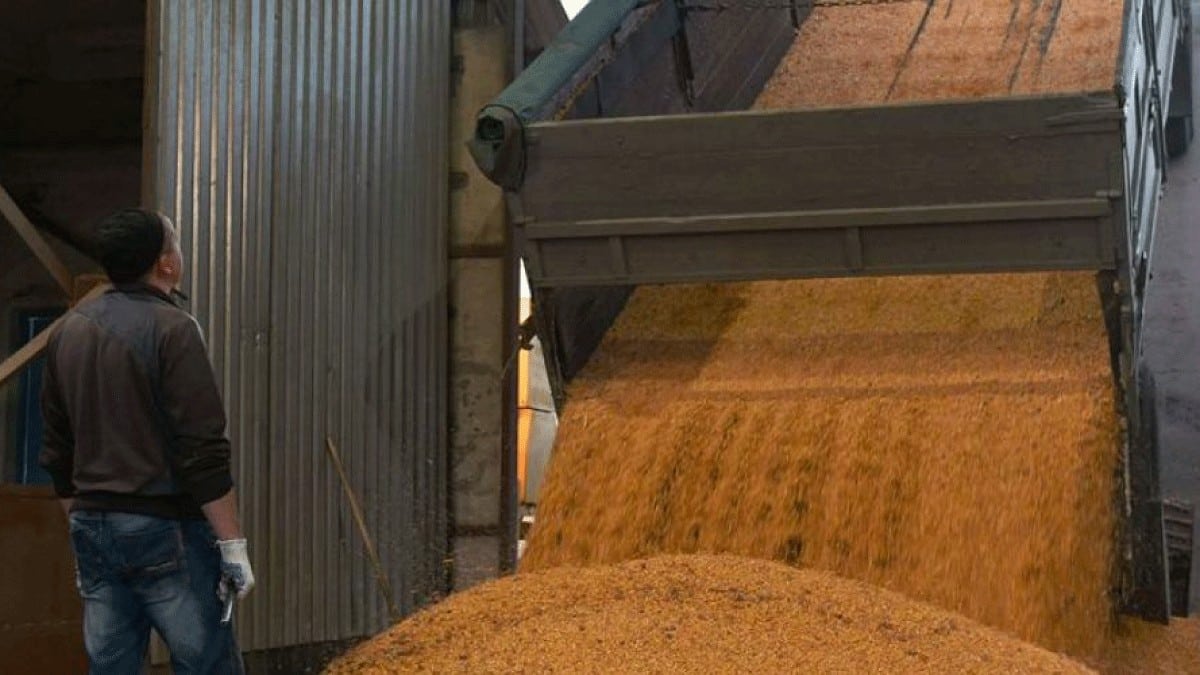 Las importaciones españolas de cereales de terceros países suman ya 8,6 Mt en 2022/23