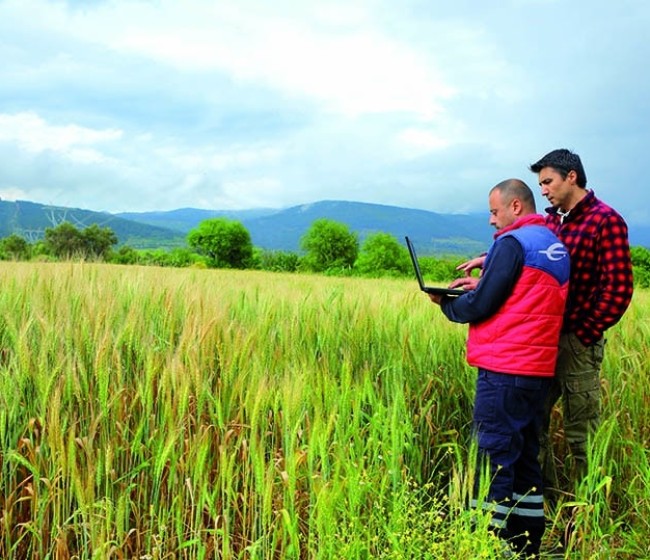 ¿Cómo podrá acceder un joven agricultor al pago complementario de la ayuda básica a la renta de la PAC 2023?