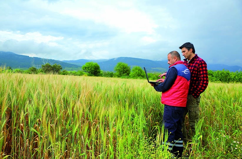 ¿Cómo podrá acceder un joven agricultor al pago complementario de la ayuda básica a la renta de la PAC 2023?