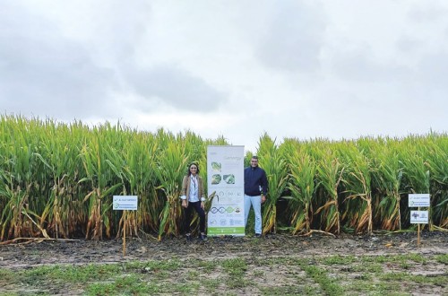 AlgaEnergy mostrará sus soluciones bioestimulantes a base de fitoplancton en la próxima edición de Agraria