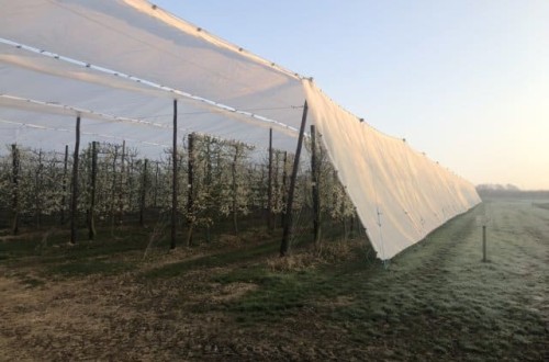 Las mallas Protecta, de protección contra el hielo de Arrigoni, aumentan hasta en 4ºC la temperatura exterior