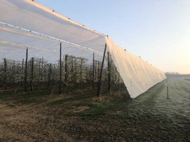 Las mallas Protecta, de protección contra el hielo de Arrigoni, aumentan hasta en 4ºC la temperatura exterior