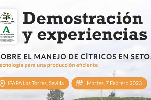 Demostración y experiencias sobre el manejo de cítricos en seto