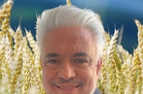 Análisis semanal del mercado internacional de cereales. Por José Murillo