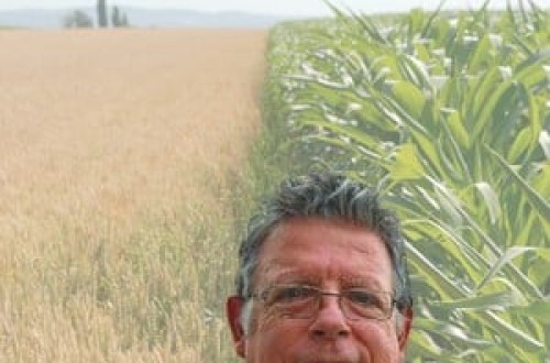 Los seguros agrarios se enfrentan a las consecuencias del cambio climático. Por Tomás García-Azcárate