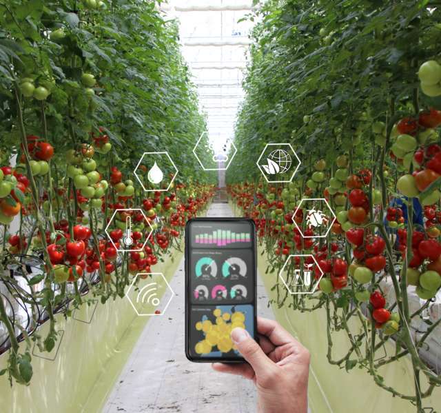 Nuevo curso Especialista Grower para cultivos de alto rendimiento de Tecnova y EFA Campomar