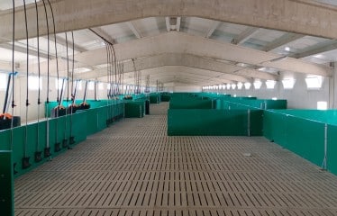 ICPOR obtiene su segundo certificado de bienestar animal