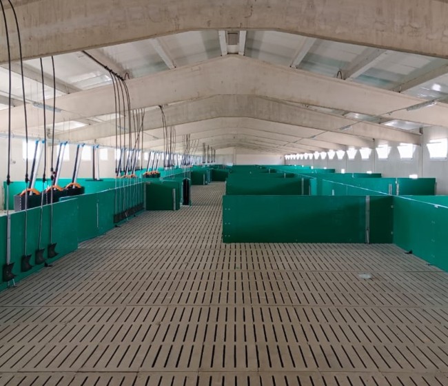ICPOR obtiene su segundo certificado de bienestar animal