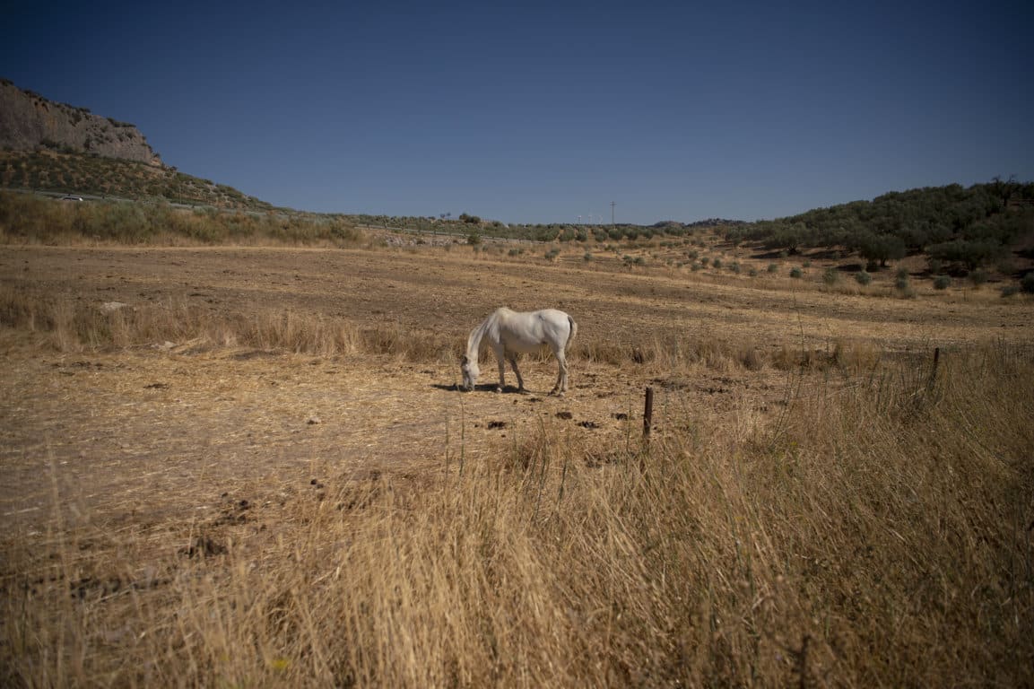 Récord histórico de casi 860 M€ en las primas de contratación del seguro agrario en 2022